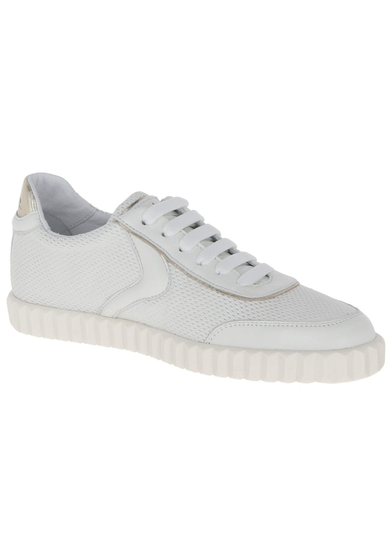 Sneaker Selia Goat-Skin von VOILE BLANCHE - Kirsch Fashion